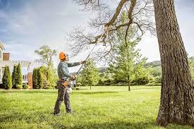 Leaf Removal in Liberty, MO